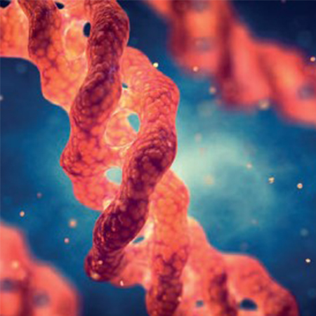 Le pouvoir du protéome : le secret de la longévité cellulaire révélé