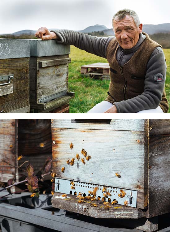 Apiculture et ses abeilles